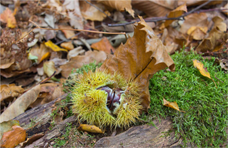 无限拨打电话软件