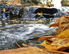 手机号狂轰滥炸软件